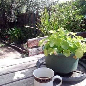 Meet your Posher, Kerrie